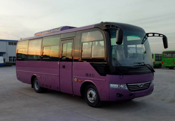 少林牌7.8米24-32座客车(SLG6780C5E)