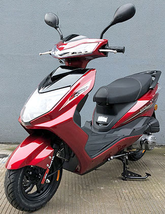 南方牌NF125T-55A两轮摩托车公告图片