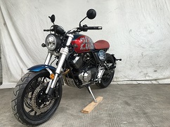 凌治牌LZ250-V两轮摩托车公告图片