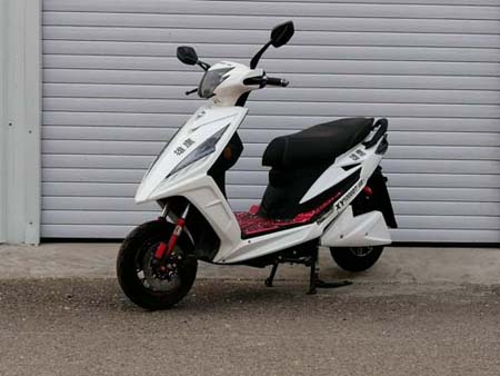 雄鹰牌XY1000DT-6B电动两轮摩托车公告图片