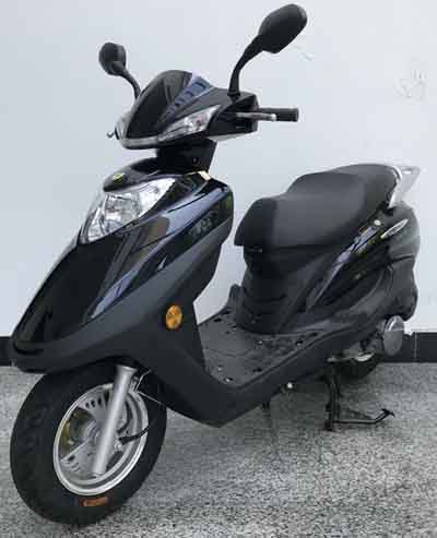 劲力牌JL125T-8E两轮摩托车图片