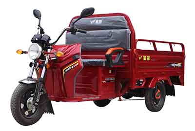 金彭牌JP1500DZH-2电动正三轮摩托车公告图片