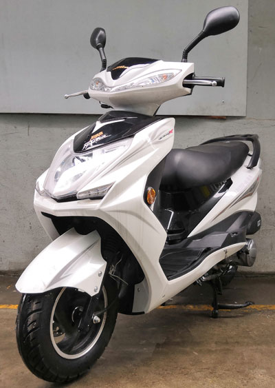 凌本牌LB125T-4E两轮摩托车公告图片