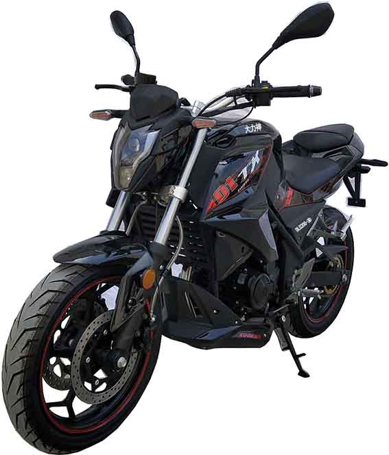 大力神牌DLS200-3D两轮摩托车公告图片
