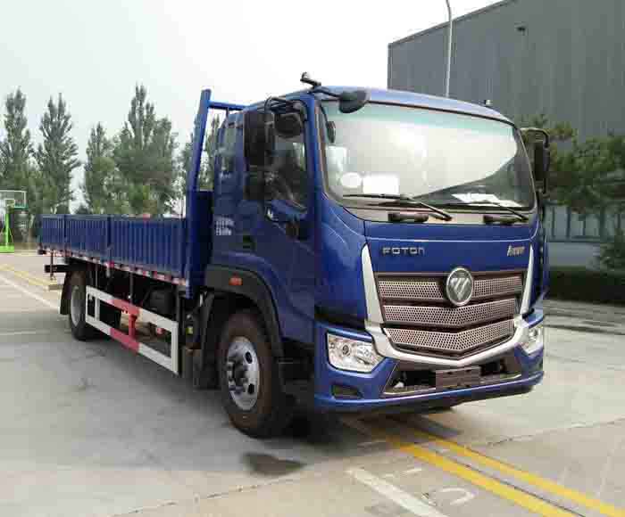 福田牌BJ1166VJPFG-A7载货汽车图片