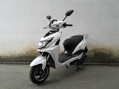 狮龙牌SL1200DT-3电动两轮摩托车公告图片