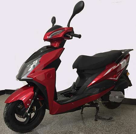 飞翎牌FL125T-32D两轮摩托车公告图片