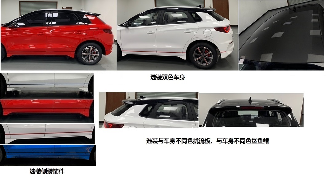 比亚迪牌BYD7002BEV纯电动轿车公告图片