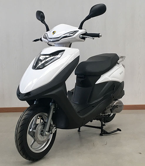 中能牌ZN125T-6D两轮摩托车公告图片