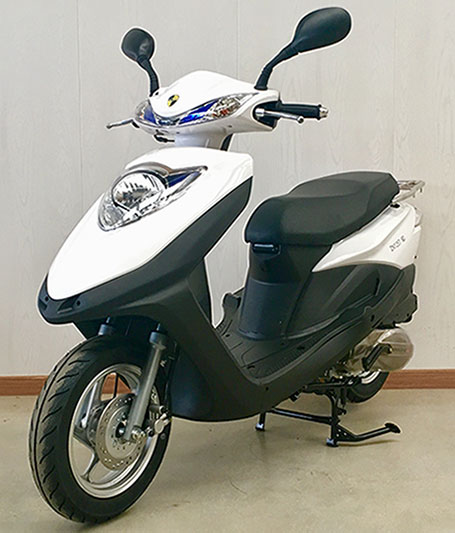 中能牌ZN125T-6D两轮摩托车公告图片