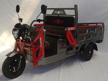 宝岛牌BD1200DZH-2电动正三轮摩托车公告图片