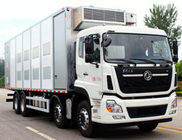 西奈克牌CEF5310XCQ15/D雏禽运输车