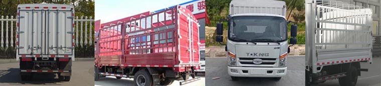 欧铃牌ZB5071CCYJDD6V仓栅式运输车公告图片
