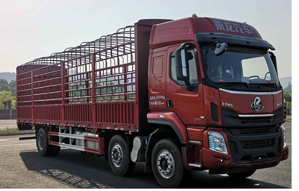 乘龍牌LZ5252CCYM3CB倉柵式運(yùn)輸車公告圖片