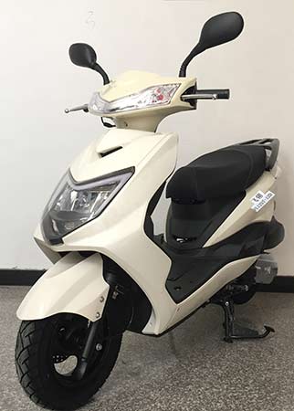 飞翎牌FL125T-12D两轮摩托车公告图片