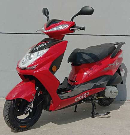 飞翎牌FL125T-12D两轮摩托车公告图片