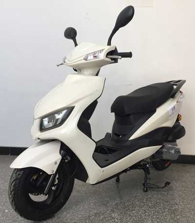 飞翎牌FL125T-12D两轮摩托车公告图片