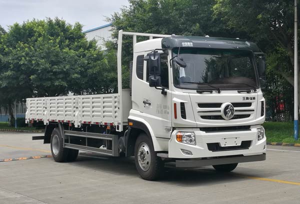 王牌牌CDW1160A1N5载货汽车公告图片
