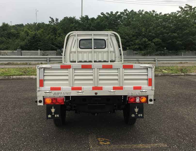 SY1027ADQ61D4B 金杯牌112马力单桥汽油3.1米国六轻型载货汽车图片