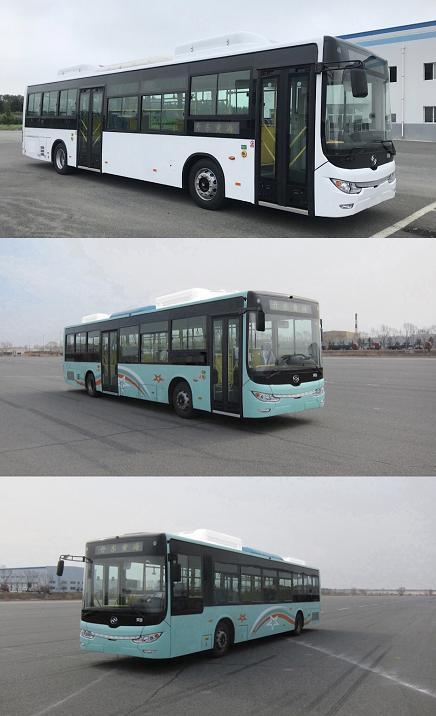 黄海牌DD6129EV20纯电动城市客车公告图片