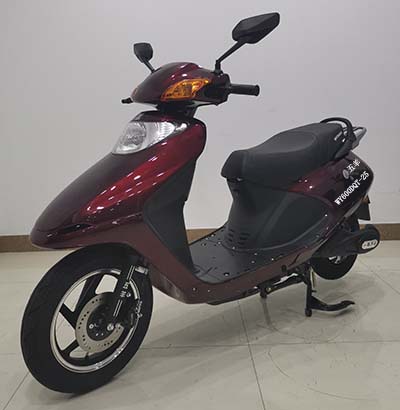 五羊牌WY600DQT-25电动两轮轻便摩托车公告图片