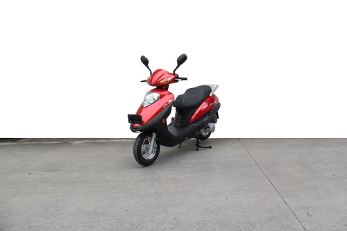 双狮牌SS125T-2C两轮摩托车公告图片