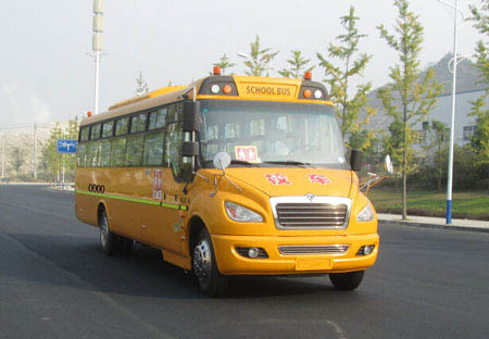 东风牌EQ6958STV1中小学生专用校车图片