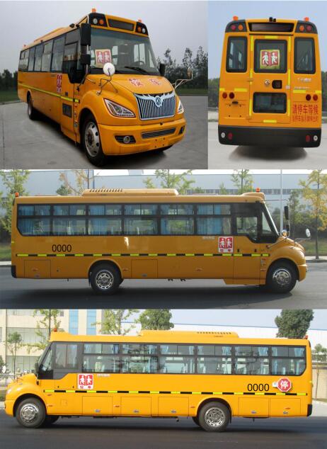东风牌EQ6958STV1中小学生专用校车公告图片
