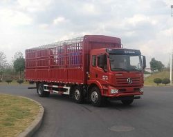 大运牌DYQ5250CCYD5CB仓栅式运输车