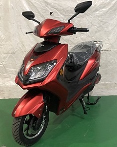 立马牌LM800DQT-7电动两轮轻便摩托车公告图片