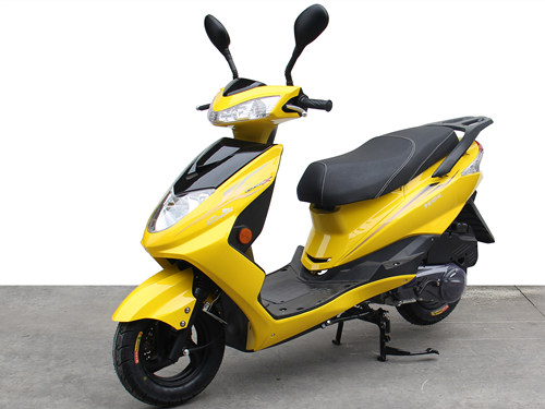 双狮牌SS125T-6C两轮摩托车公告图片