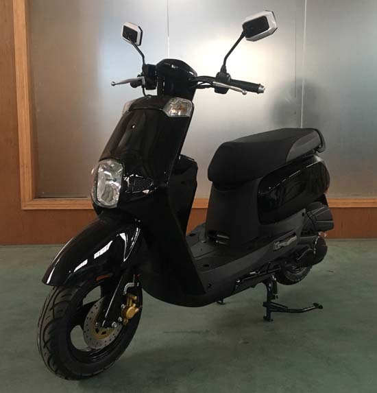 一鹰牌YY125T-8两轮摩托车公告图片
