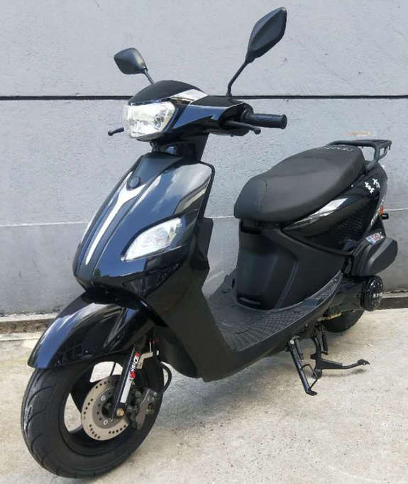 东方牌DF125T-5S两轮摩托车公告图片