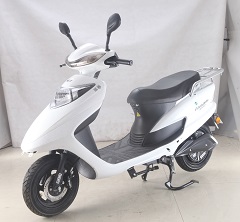 LM1500DQT-8 立马牌纯电动前盘式后鼓式电动两轮轻便摩托车图片