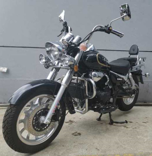 迅龙牌XL200-2S两轮摩托车公告图片