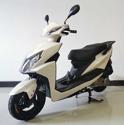 轩源牌XY125T-36D两轮摩托车公告图片