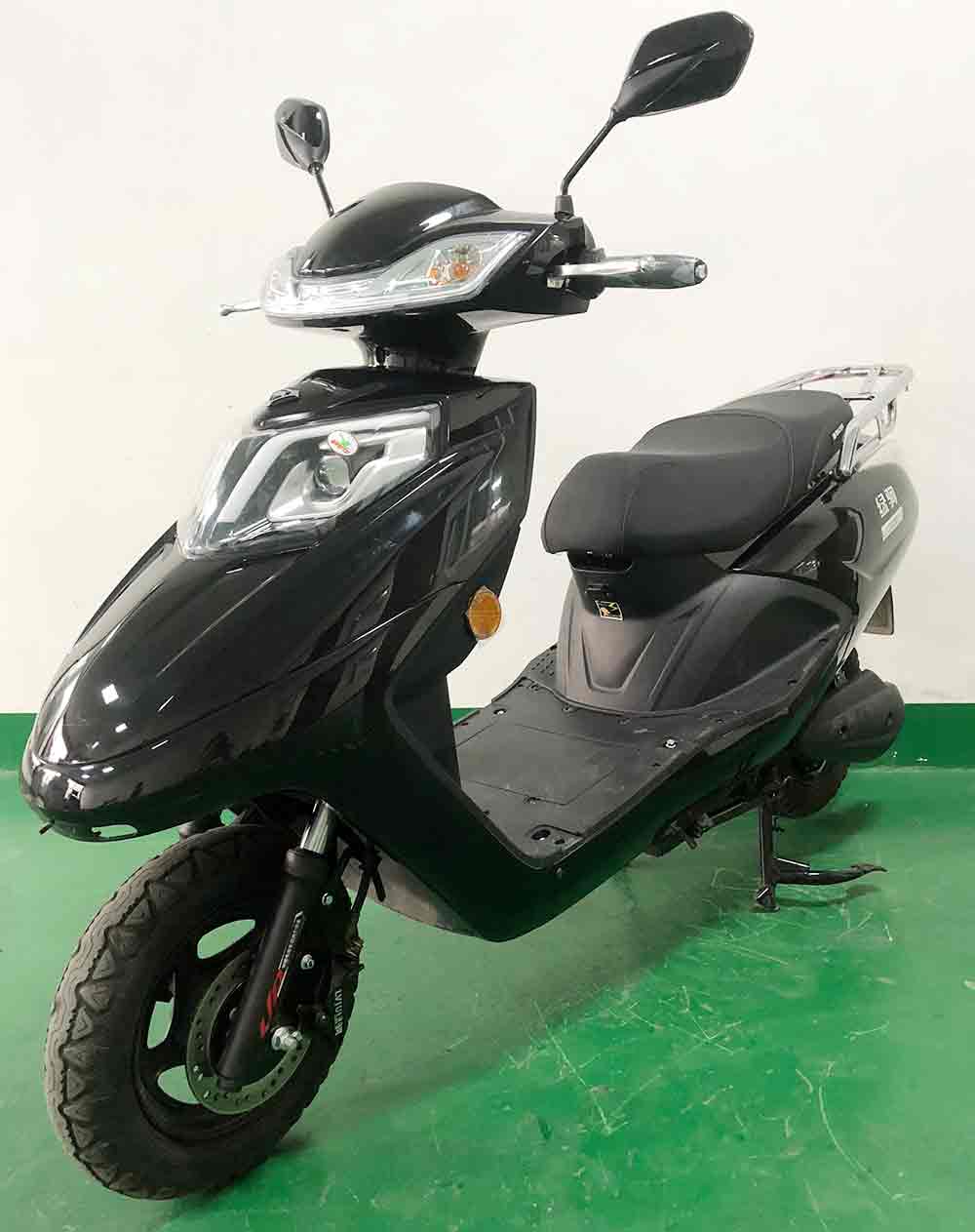 绿驹牌LJ1200DQT-2电动两轮轻便摩托车公告图片