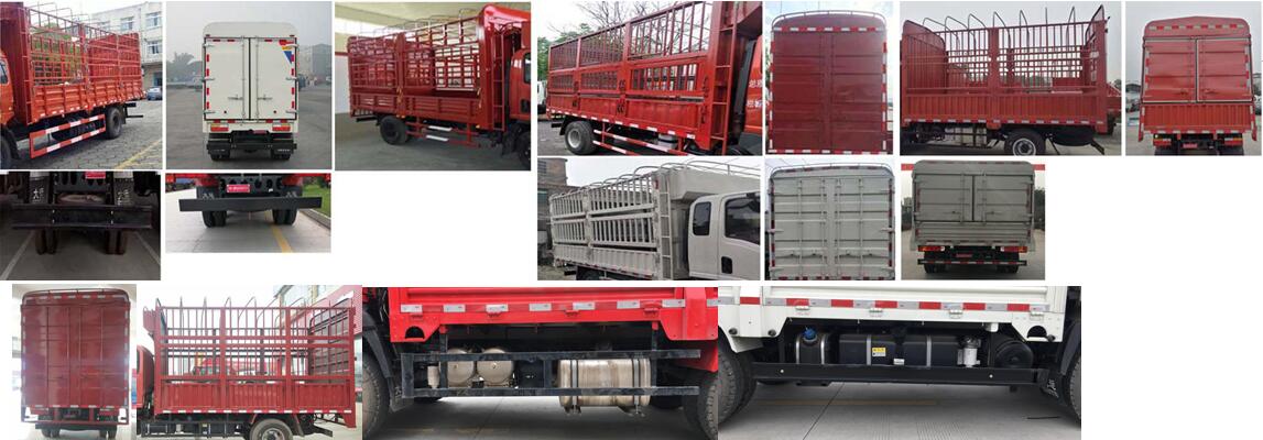 大運牌CGC5040CCYHDD33E倉柵式運輸車公告圖片