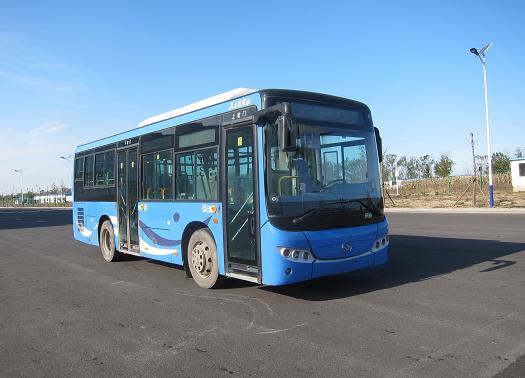 黄海牌8.5米16-31座城市客车(DD6851B01)