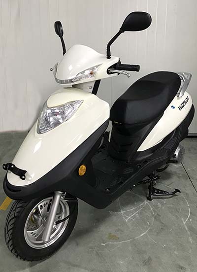 望龙牌WL125T-19两轮摩托车公告图片