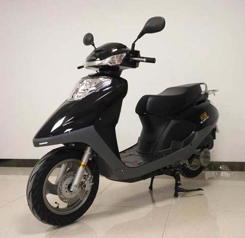 东龙牌DL125T-6S两轮摩托车图片