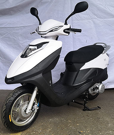 雷克牌LK125T-8L两轮摩托车公告图片