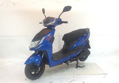 浙雅牌ZY1000DT-2电动两轮摩托车公告图片