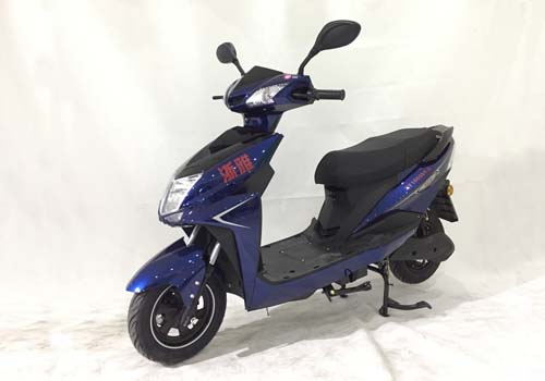 浙雅牌ZY1000DT-2电动两轮摩托车公告图片