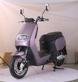 爱玛牌AM1200DQT-22G电动两轮轻便摩托车公告图片