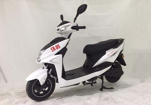 环爵牌HJ1000DT-2电动两轮摩托车公告图片