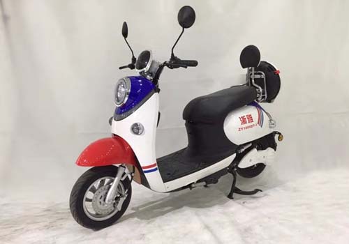 浙雅牌ZY1000DT-3电动两轮摩托车公告图片