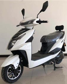 环松牌HS1200DT电动两轮摩托车公告图片