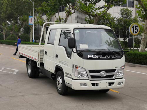 福田牌BJ1032V4AL5-DE两用燃料载货汽车图片