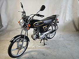 ZF110-5 珠峰牌107CC汽油前鼓式后鼓式两轮摩托车图片